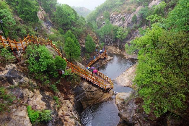 陕西西咸新区：厚植营商沃土 绽放一路“繁花”